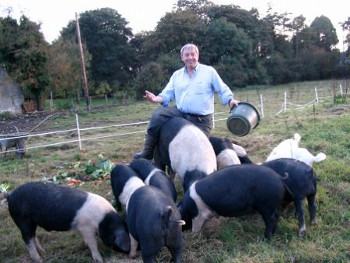 Alfie and Pigs